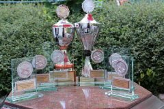 Die Pokale 2024
